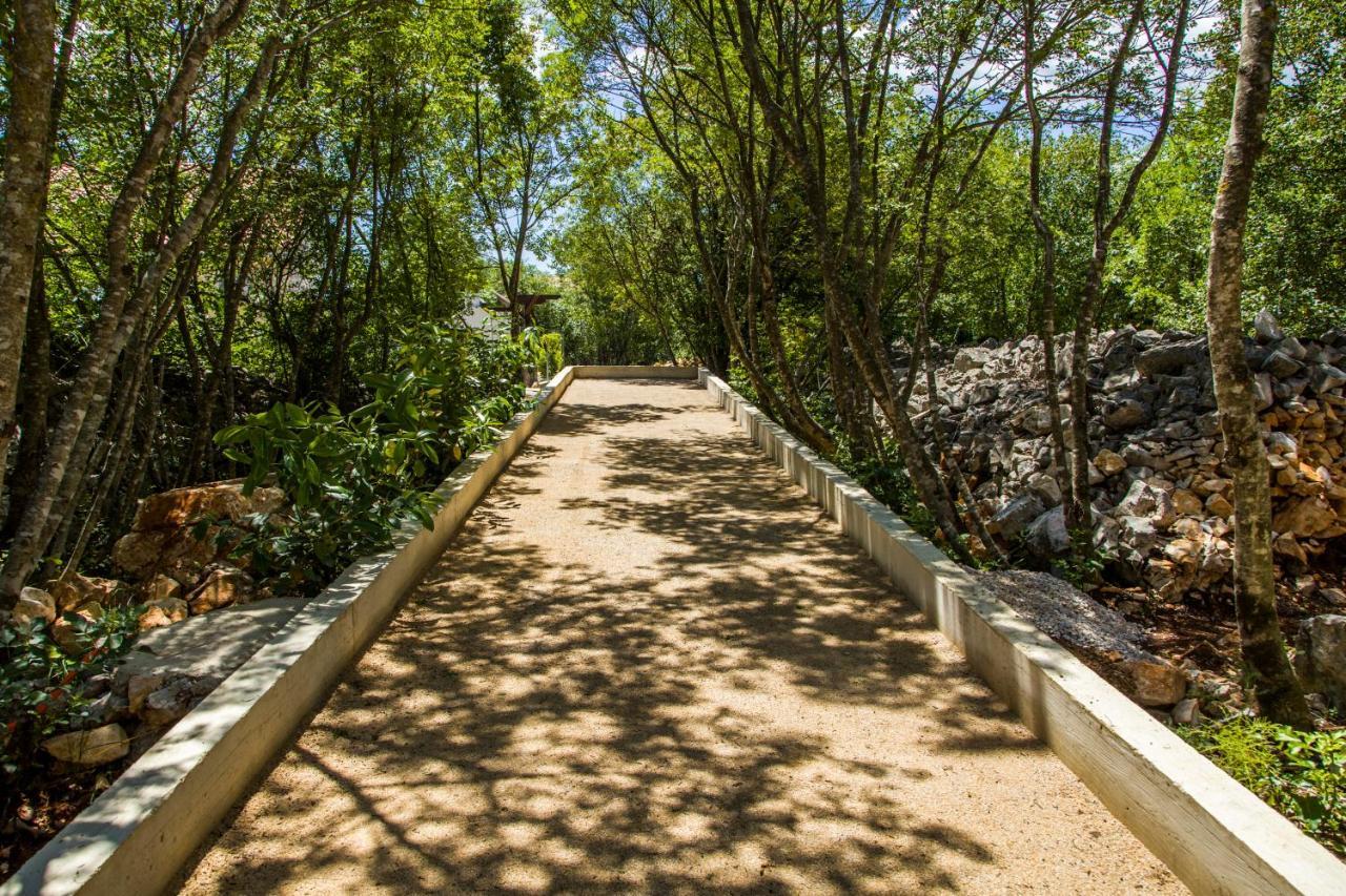 Villa Nabucco Kras エクステリア 写真